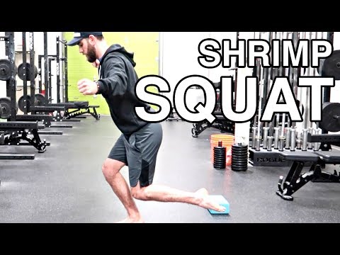 SHRIMP SQUAT TUTORIAL | single leg squat & bodyweight exercise for lower body strength | Human 2.0