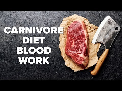Year on Carnivore Diet – Shawn Baker Blood Work | They Aren’t Bad! | Tiger Fitness