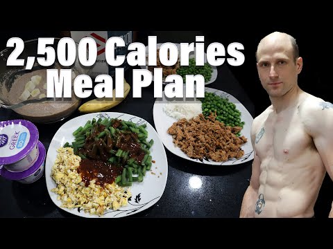 2,500 Calories Meal Plan | Healthy Eating  | Meal Prep