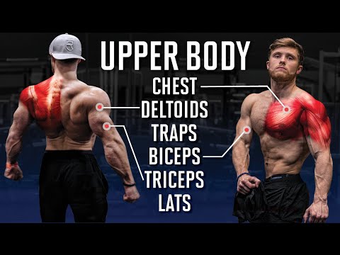 The Best Full UPPER BODY Workout For Max Muscle Growth (Science Applied)