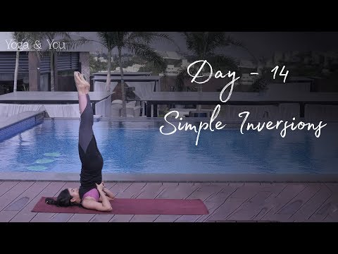Day 14 – Simple Inversions | Fifteen days of Yoga for Beginners