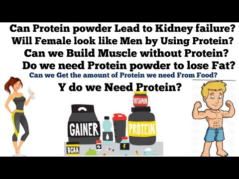 Advantage & Disadvantages of High Protein Diet, Protein Powder for Women & Men”|” Gourang Genji