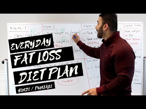 Everday FAT LOSS Diet Plan! (Hindi / Punjabi)