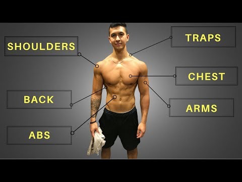 My FULL Training Routine (Workouts, Diet, & Cardio!)