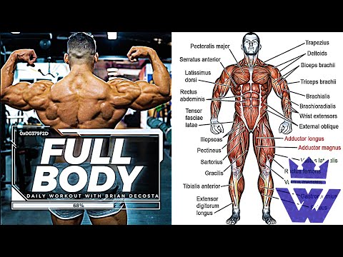 Full Body WORKOUT at GYM – 15 Exercises for Total Body MASS!