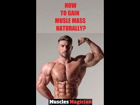 Fitness Tips for Building Muscle Mass