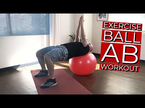 Sunny Health & Fitness Exercise Ball Ab Workout