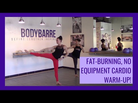 BodyBarre ?NO EQUIPMENT ? CARDIO Warm-Up → Workout!