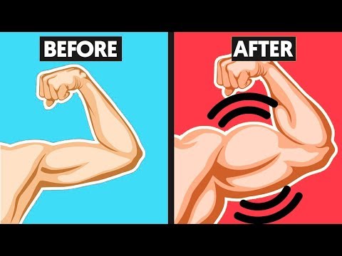 Top 5 Muscle Building Tips (For BEGINNERS)