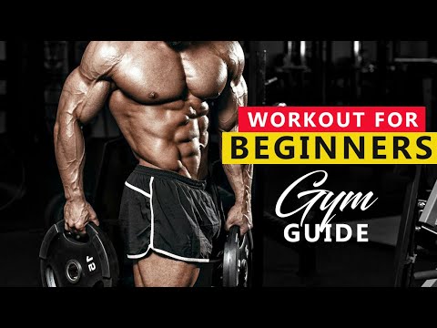 Workout For Beginners | Complete Beginners Guide To Gym By | Get into Shape|