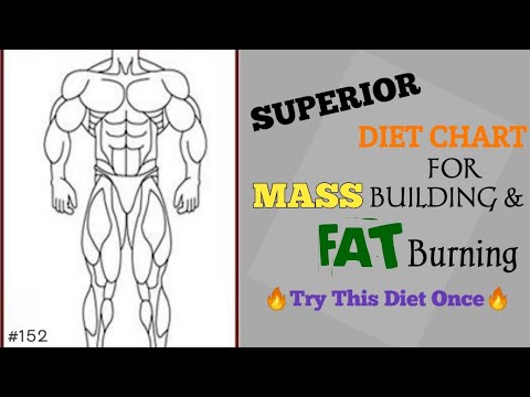 Superior Diet Chart For Mesomorph Kannada | science base information | body transformation specialis
