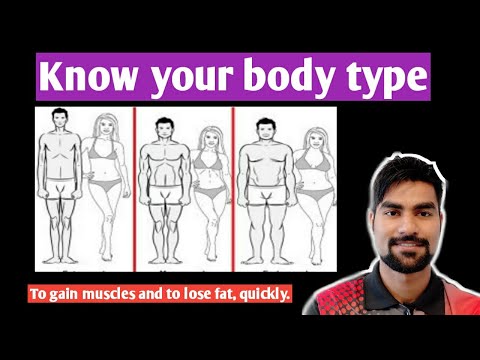 What is your body type || Types of Human body || Diet and training for each body type || HINDI ||