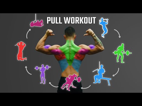 The Best Science-Based PULL Workout For Growth (Back/Biceps/Rear Delts)