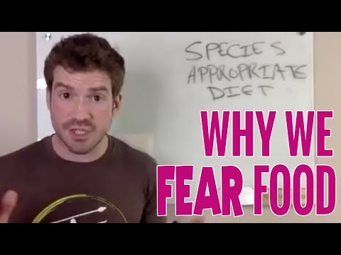 Calories In Calories Out | Why We Need to Get Over Our Fear of Food